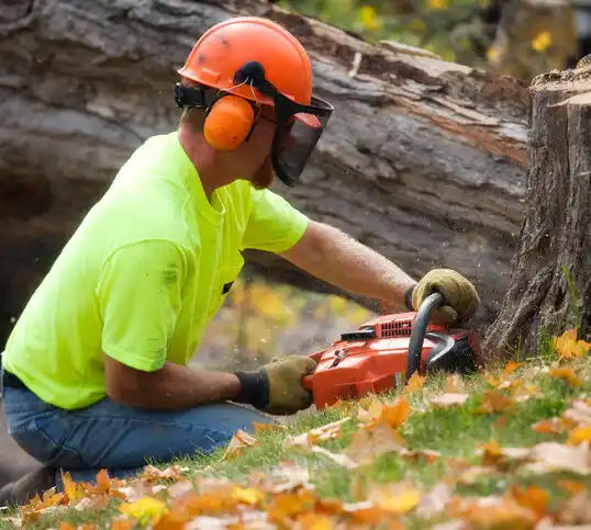 tree services Bethlehem